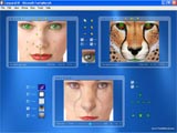 "Blue" skin of the skinable morphing software